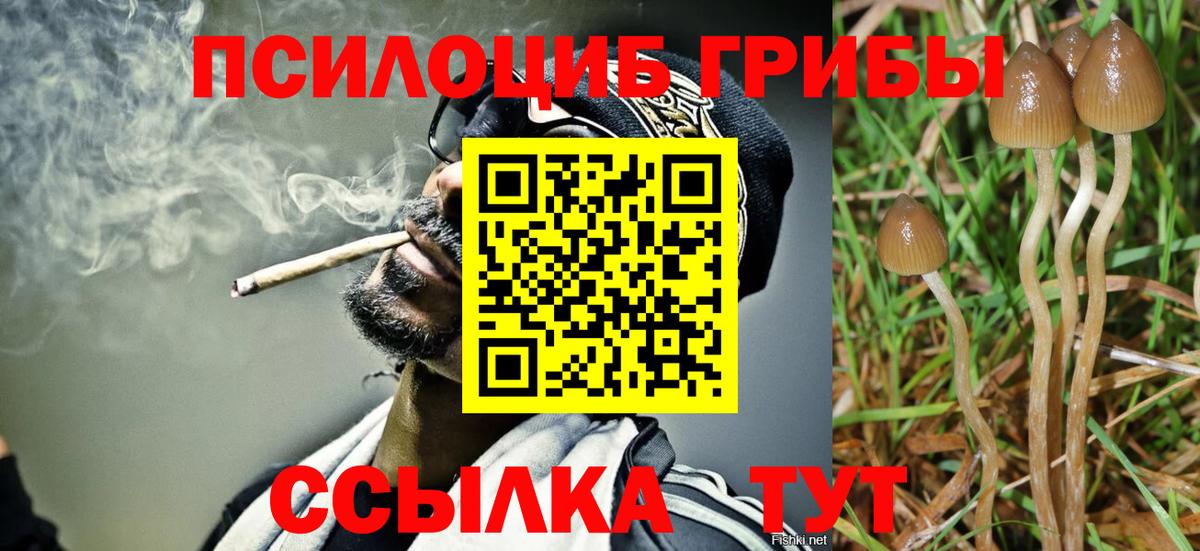 Галлюциногенные грибы Magic Shrooms  Вход с VPN  Псилоцибиновые грибы Psilocybe  Ртищево 