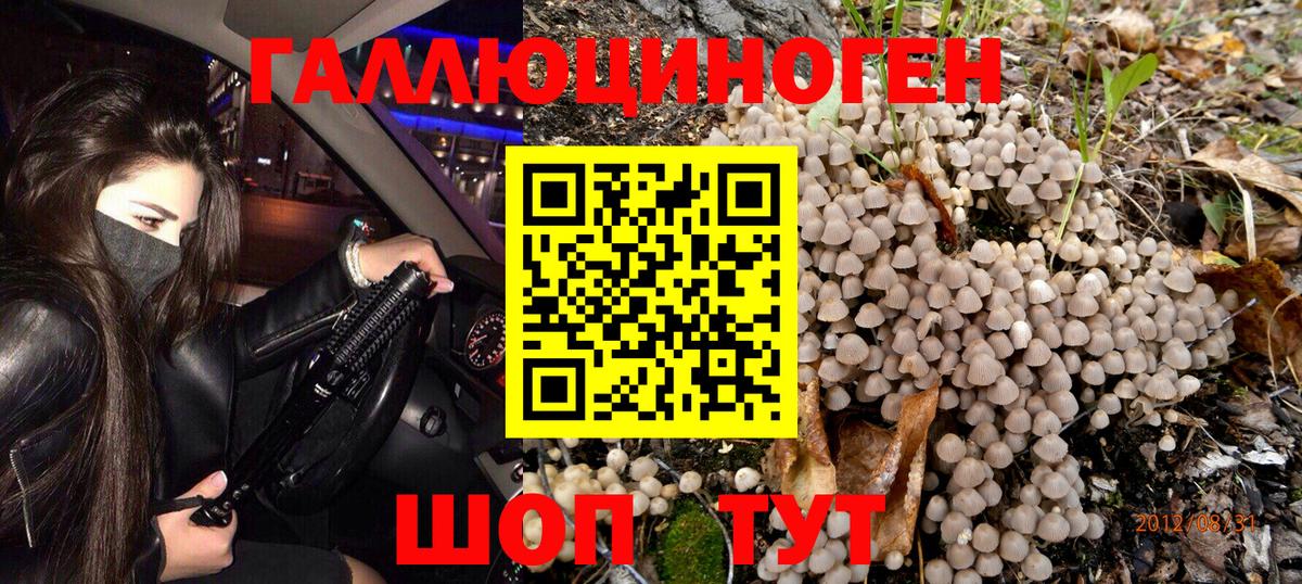Галлюциногенные грибы Cubensis Ртищево